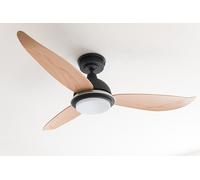 Pepeo Ventilateur de plafond Bayu 122 cm – LED dimmable, télécommande, pales bois, boîtier noir