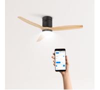 WIND CALM - Ventilateur de plafond 40W silencieux Ø132 cm 15W 100% avec wifi et lumière - Noir et bois naturel Bois naturel G