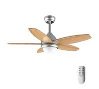 Cecotec Ventilateur de plafond Energysilence Aero 495 – 55 W, diamètre 42″, 5 lames réversibles G