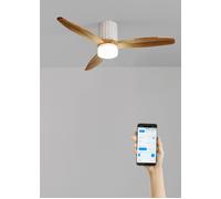 Ventilateur de plafond - Create - Avec lumière - Silencieux - Ø132 cm - Bois