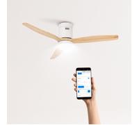 Wind Calm - Ventilateur De Plafond 40w Silencieux Ø132 Cm Avec by CREATE