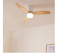 Ventilateur de plafond - Create - Avec lumière - Silencieux - Fonction été/hiver - Télécommande