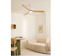 Ventilateur de plafond - Create - Avec lumière - Silencieux - LED - Ø152 cm