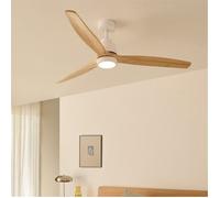 Ventilateur de plafond - Create - Avec lumière - Silencieux - Télécommande - Ø152cm