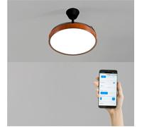 Ventilateur de plafond - Create - WIND CLEAR STUDIO - Silencieux - Pales rétractables - LED