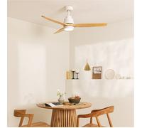 CREATE / WINDSTYLANCE DC/Ventilateur de plafond avec lumière, contrôleur murale et télécommande, blanc pales en bois naturel / 40W, 6 vitesses, Ø132 cm, minuterie, été-hiver, double hauteur