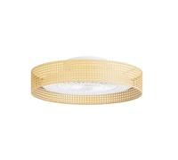 Ventilateur de plafond - FORLIGHT - LD4PRO000-VE-0031-MAD - LED - Mimbre - Métal