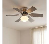 Ventilateur de Plafond Glacière Luminaires Avant Rendements 3 Étagé LED D 76 CM