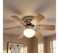 Ventilateur de Plafond Glacière Luminaires Lampe Cuisine Vor Rendements LED D
