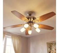 Ventilateur de Plafond Luminaires Glacière Lumière pour Salle à Manger Tirette
