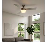 Ventilateur de plafond LED avec éclairage télécommande Lampe de plafond avec ventilateur silencieux rond, 3 niveaux, 2x 4,9W 2x 470lm blanc chaud, DxH 105 x 30,5 cm