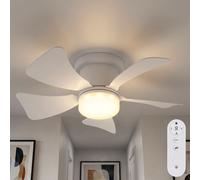 Ventilateur de Plafond Plafonnier Couloir Minuteur Tdc Télécommande LED