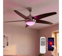 Ventilateur de plafond ventilateur refroidisseur de pièce ventilateur de salon, marron argent, télécommande intelligente LED RGB dimmable 3 vitesses, 1x 5W 470Lm 2700-6400K, D 132 cm