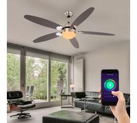 Ventilateur de Plafond Plafonnier Vor-Rücklauf Smart Google Alexa RGB LED