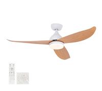 Ventilateur de plafond réglable silencieux avec télécommande LED Light 6 vitesses DC Moteur réversible Design Timer Function for Bedroom & Living Room Modern Home Ceiling Fans