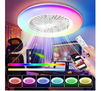 Ventilateur de plafond RVB avec éclairage et télécommande - Diamètre 49 cm - Plafonnier LED intelligent