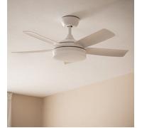 Ventilateur de Plafond Silencieux Patroclo Blanc 106cm Motor DC Télécommande Avec lumière
