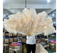 Ventilateur de plumes d'autruche, Éventail pliable en plumes d'autruche for arts du spectacle, décoration d'intérieur, multicolore, plusieurs tailles(19 Champagne,Small fan 1Pair(two))