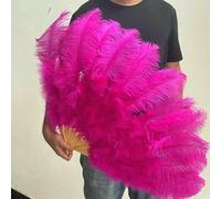 Ventilateur de plumes d'autruche, Éventails pliants en plumes d'autruche 100 cm/130 cm, accessoires de photographie de danse multicolores(Rose,2PCS 100CM)