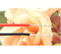 Ventilateur De Refroidissement 840d,Système Nck,San Ace 40,24v,0,095a,40x40x28 Mm, - Type 2 Wires