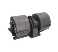 Ventilateur D'Intérieur THERMOTEC DDSC003TT