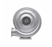 Ventilateur éLectrique, Ventilateur de Pompe éLectrique Centrifuge avec Interface à Bride en Fer, Adapté Aux ChaudièRes Industrielles, Machines D'Impression/argent / 750W