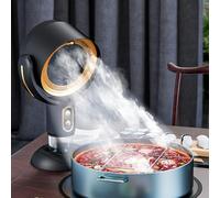Ventilateur extracteur portable (purificateur de fumée), USB rechargeable, purificateur d'air, filtre amovible lavable, pour BBQ/réchaud à fondue intérieur(Gold)