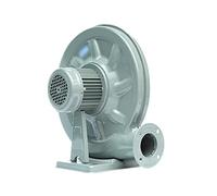 Ventilateur Gonflable, Ventilateur de Pompe à Air éLectrique Centrifuge à Moteur en Cuivre Pur 220v, Adapté Aux Arches Gonflables, ChaudièRes à Combustion/gris / 250W