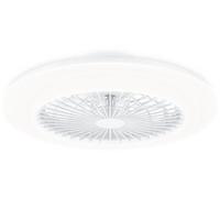 Philips Plafonnier ventilateur Amigo 42+20 W