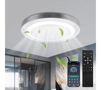 Ventilateur Plafond avec Lumiere,Ventilateur de Plafond avec Telecommande & APP,6 Vitesses|Moteur DC Réversible|Dimmable Ventilateur Plafond Silencieux,Plafonnier Ventilateur pour Salon Cuisine,Ø51cm