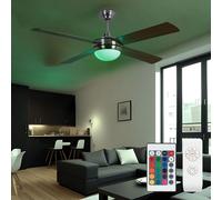 Ventilateur Plafonnier Refroidisseur D'Ambiance Télécommande Dimmable RGB LED