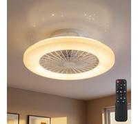 Ventilateur de plafond avec télécommande Plafonnier avec ventilateur Lampe ventilateur dimmable, minuterie CCT effet étoile, LED 30W 1800lm 3000-6500K, D 50 cm