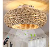 Ventilateurs Plafond Avec lampe silencieux E27 Rétro Fan Plafonnier avec Télécommande et APP Lustre cage en Rotin Naturel Tissé lampe de plafond pour Salon Chambre Salle à Manger Cuisine Luminaire