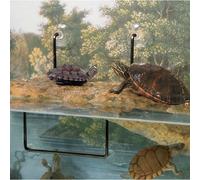 Zoo Med Ventouses de remplacement pour terrasse flottante pour reptile/amphibien