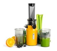 Ventray Extracteur de Jus - Slow Juicer Pression Douce 60 Tours, Presse à froid, Fonction de Mastication Inversée, Extracteur de Jus de Fruits et Légumes Sans BPA, Facile à nettoyer, Vert Perroquet