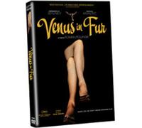 Venus In Fur