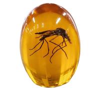 VEOJEIN Moustique Jurassique en Ambre, Insecte 2D détaillé enrobé de résine Durable Parfait pour Les collectionneurs et Les Amateurs,Presse-Papier, à l’Effet Vieilli, décoration de Bureau