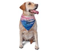 vercosee He Or She What Will It Be ? Bandana pour révélation du sexe/annonce de bébé, foulard pour animaux de compagnie à porter au quotidien, accessoire photo, fournitures de fête (style peinture à