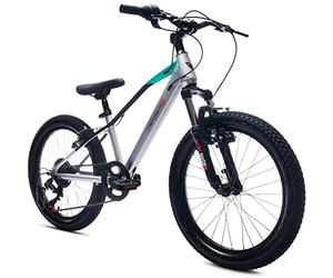 Verdant Bike Vélo pour Enfant pour garçon 20 Pouces Taille de Roue au Choix 6 Vitesses Shimano Vélo Enfant de 6 à 10 Ans Hauteur réglable (Argent)