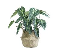 VerdantCharm Alocasia Noir Artificiel 46cm en Pot - Feuille Verte à Nervures Blanches, Plante Décorative Intérieure Haute Qualité, Deco Salon Bureau Salle de Bain, Entretien Nul