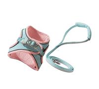 VERDANVERSE 1 Ensemble Laisse pour Animaux de Compagnie Laisse reglable Dog Leash Harnais pour Chat Pratique Corde de Marche réglable Marcher en tirant sur la Corde Harnais d'animaux suède