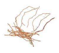 VERDANVERSE 20 Pièces Branches en Bois Naturel pour Aquarium, Décor Solide et Résistant la Déformation, pour Créer Un Paysage sous-Marin Esthétique Votre Aquarium