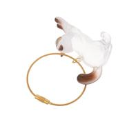 VERDANVERSE Boîte de Rangement Poils Animaux Forme de Chat Transparent Porte-clés Mémorial pour Collection de Moustaches Boîte Souvenir Artisanale pour Poils de Chat et Chien