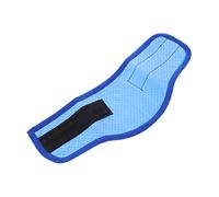 VERDANVERSE Écharpe Rafraîchissante pour Chien Respirante et Portable Bandana Rafraîchissant Dété pour Promenade et Activités Extérieures Collier Cool pour Animaux S Bleu à