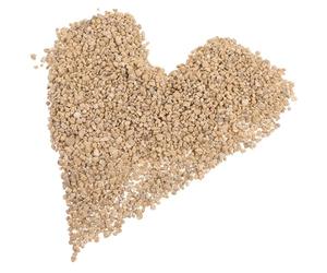 VERDANVERSE Pierres Décoratives en Maïfanite Naturelle 300g 5 Sachets pour Aquarium, Jardinière et Plantes D’intérieur Roche Volcanique Poreuse pour Décoration et Substrat Succulent