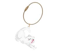 VERDANVERSE Porte-clés Souvenir Poils de Chat Transparent Capsule de Rangement pour Poils Animaux Accessoire Mémo pour Amoureux des Chats Portable Cadeau Original pour Propriétaires Animaux