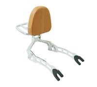 VERDDE Accessoires Moto pour Indian Scout 2015-2023 Scout Sixty ABS 2016-2023 Passager Arrière Dossier Amovible Sissy Bar avec Porte-Bagages (Color : E)