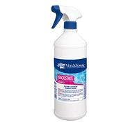 VERDELOOK Détartrant liquide pour piscine 1 kg