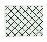 Verdemax 7548 Treillis Extensibles en PVC Vert 1 x 1 m