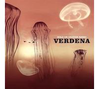 Verdena – Solo Un Grande Sasso – Vinyle – Import